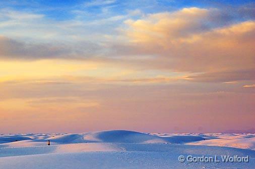 White Sands_32420.jpg - Awash in a sea of sand photographed at the White Sands National Monument near Alamogordo, New Mexico, USA.